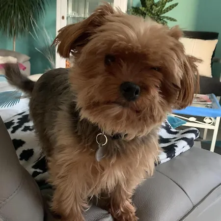 Bed & Breakfast D'hotes Brest