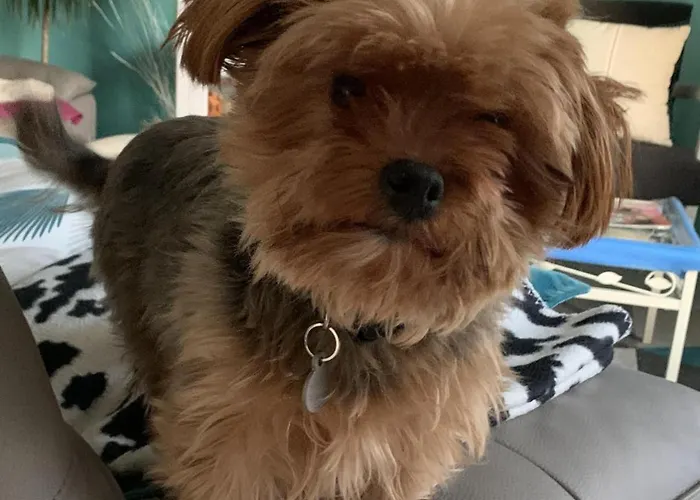 Bed & Breakfast D'hotes Brest